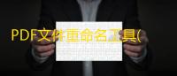 PDF文件重命名工具(Boxoft PDF Renamer) 3.1 官方版